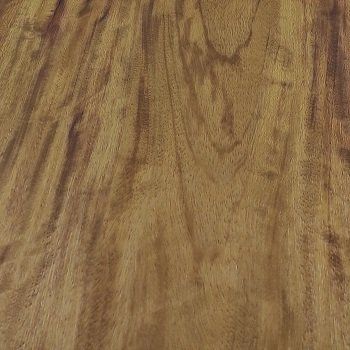 Échantillon d'iroko, bois imputrescible utilisé en menuiserie et ébénisterie de luxe
