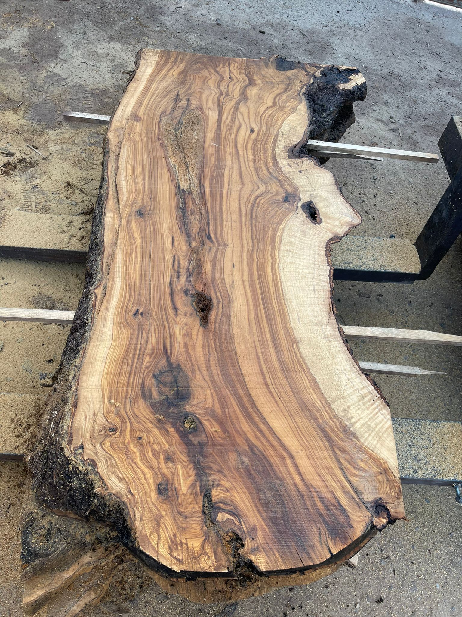 Planche d'olivier brut après sciage