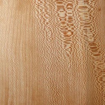 Détail du bois de platane, connu pour son veinage marbré en ébénisterie décorative