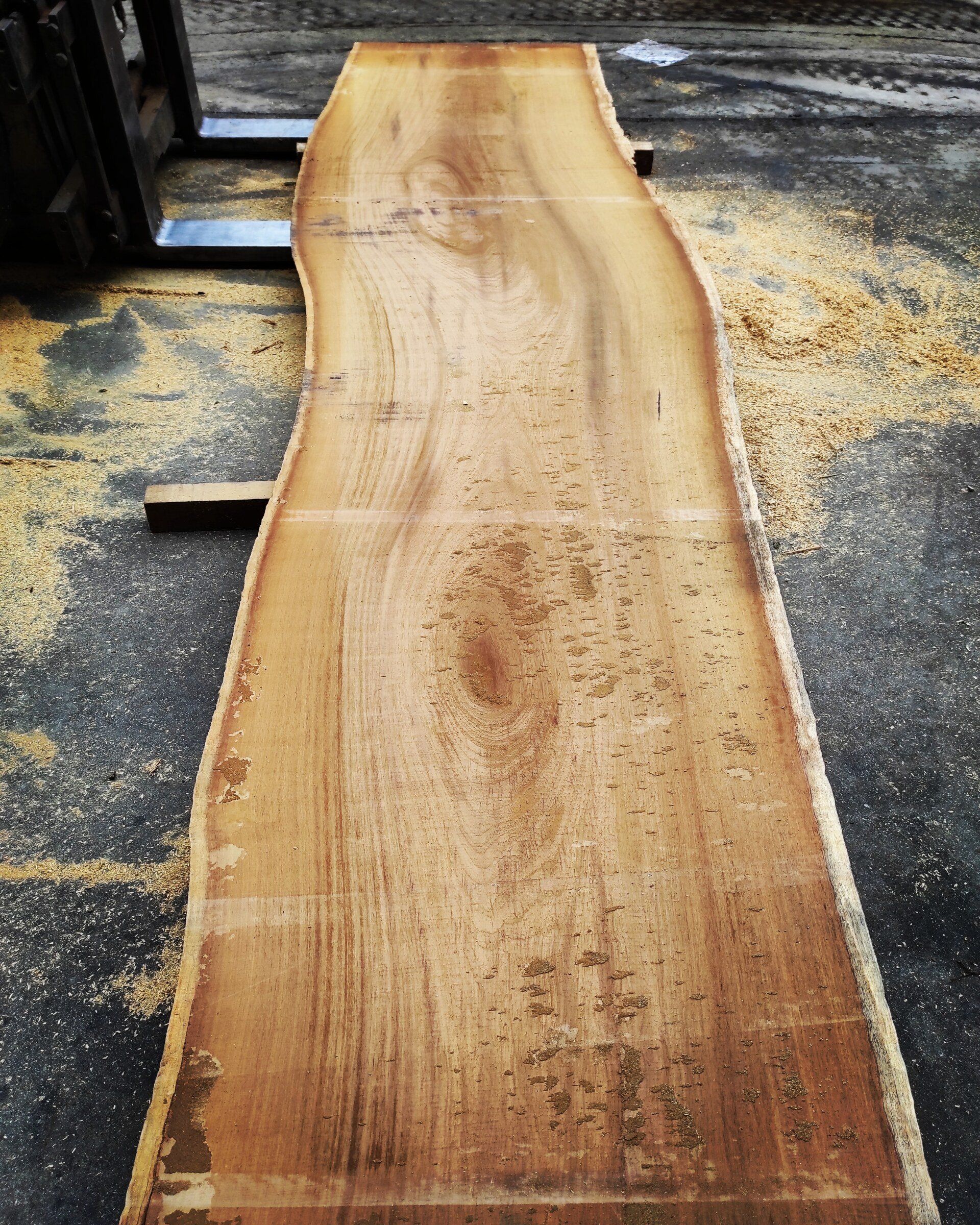 Plateau en bois d'Iroko brut avec bords irréguliers (live edge) - Pour des meubles sur mesure de toutes dimensions.