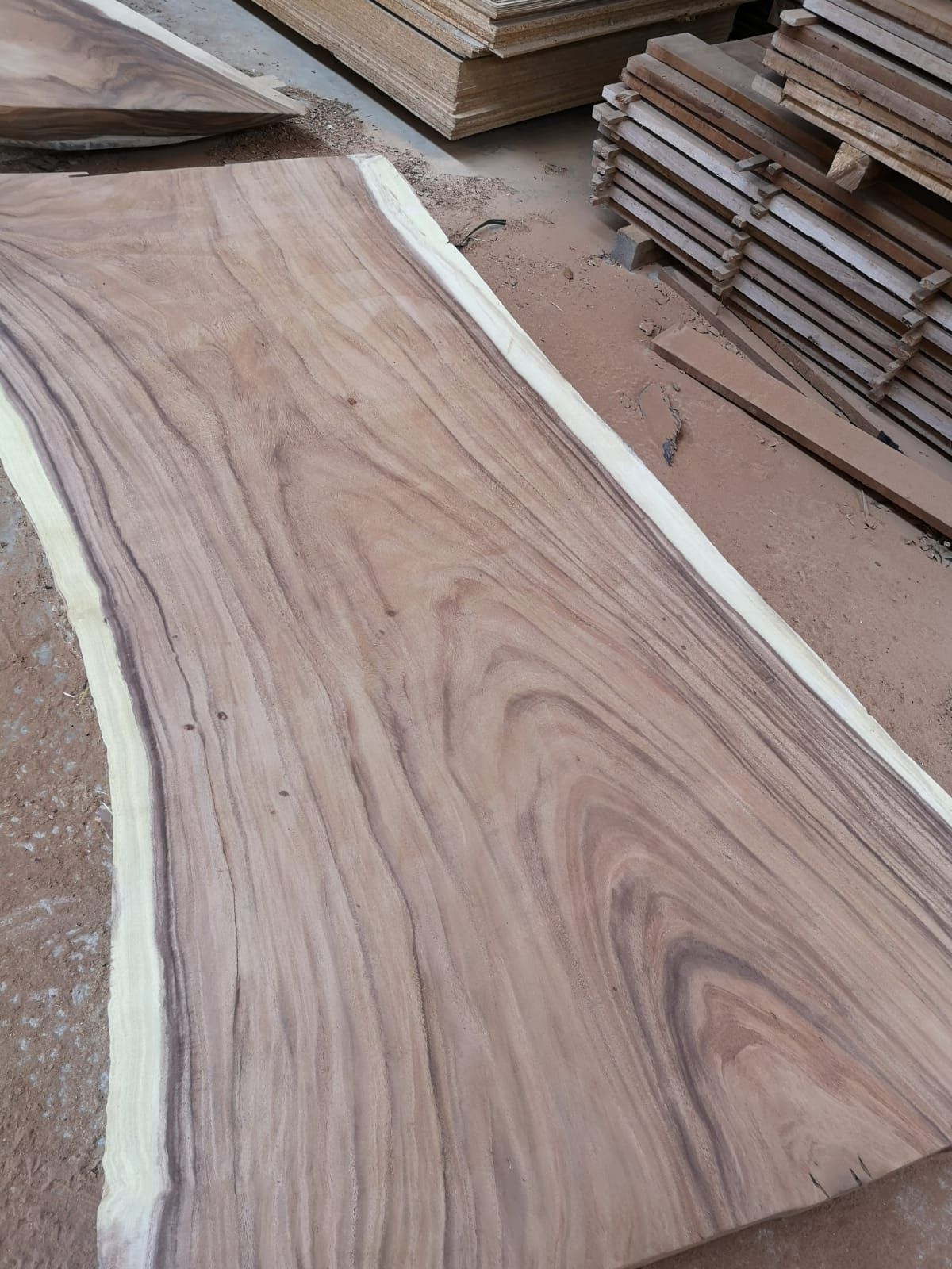 Grand plateau de table en bois de suar poncé – Tronc d'arbre massif pour table sur mesure