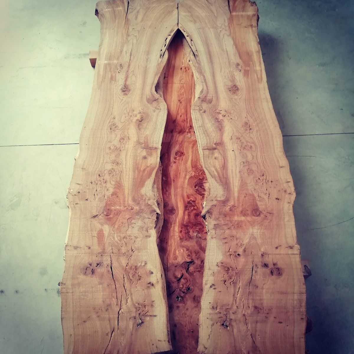 Plateaux bruts en bois d'orme massif - idéaux pour créer votre meuble sur mesure