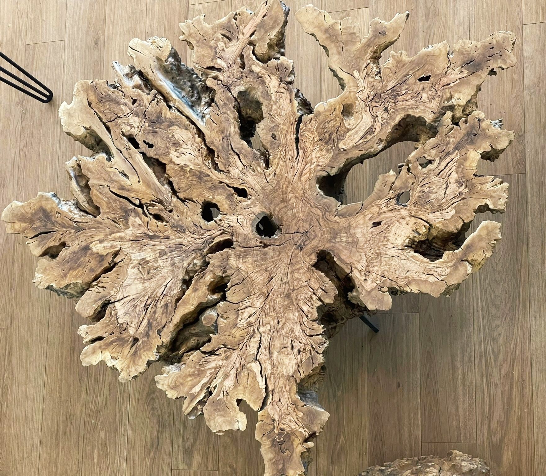 Tronc d'arbre en bois brut. Olivier massif. Idéal table basse.