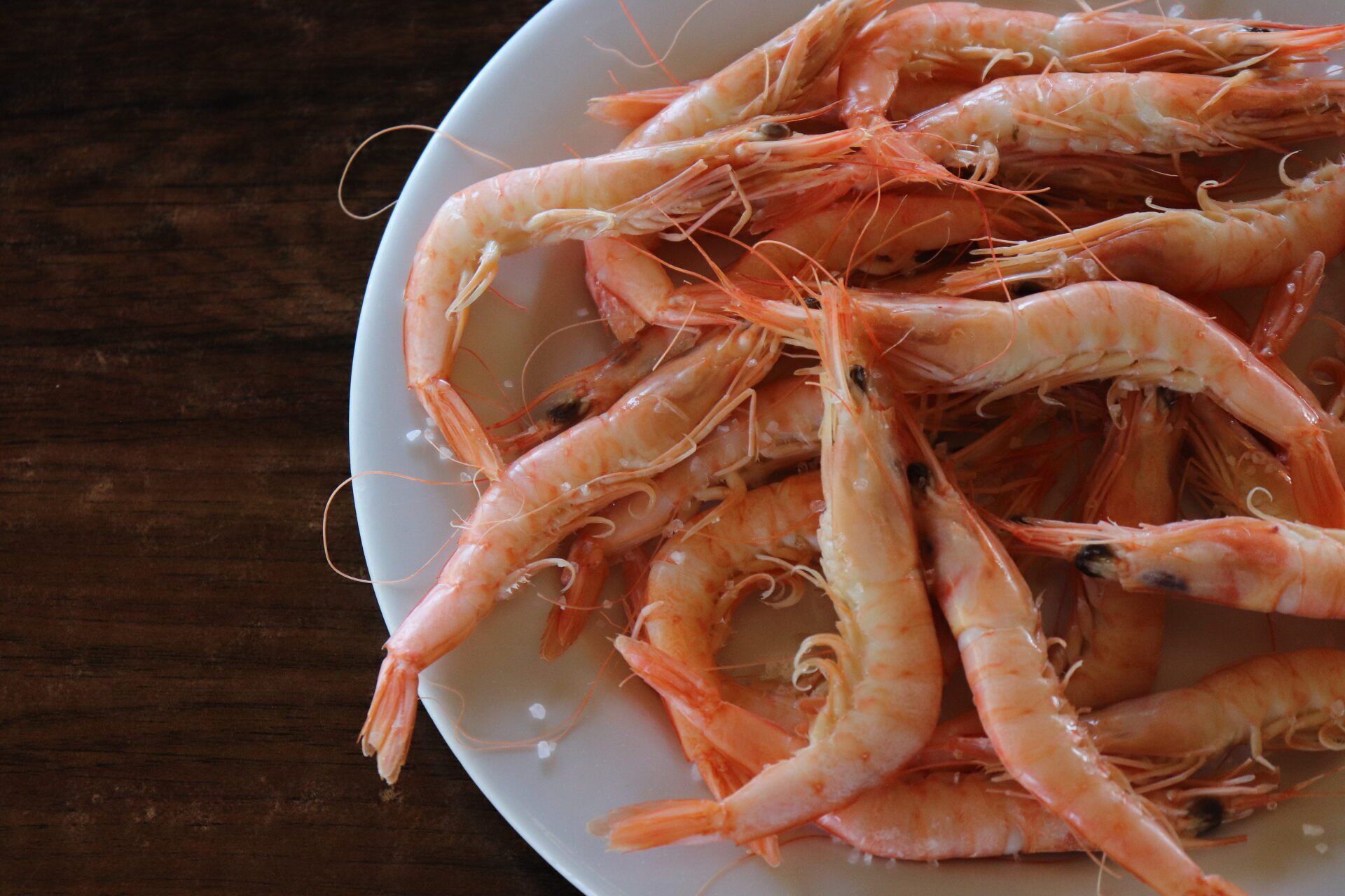 Gambas blanca de Huelva a domicilio. Gamba blanca de Huelva, suaves, finas y sabrosas. La mejor gamba del mundo. Marisco online a domicilio.