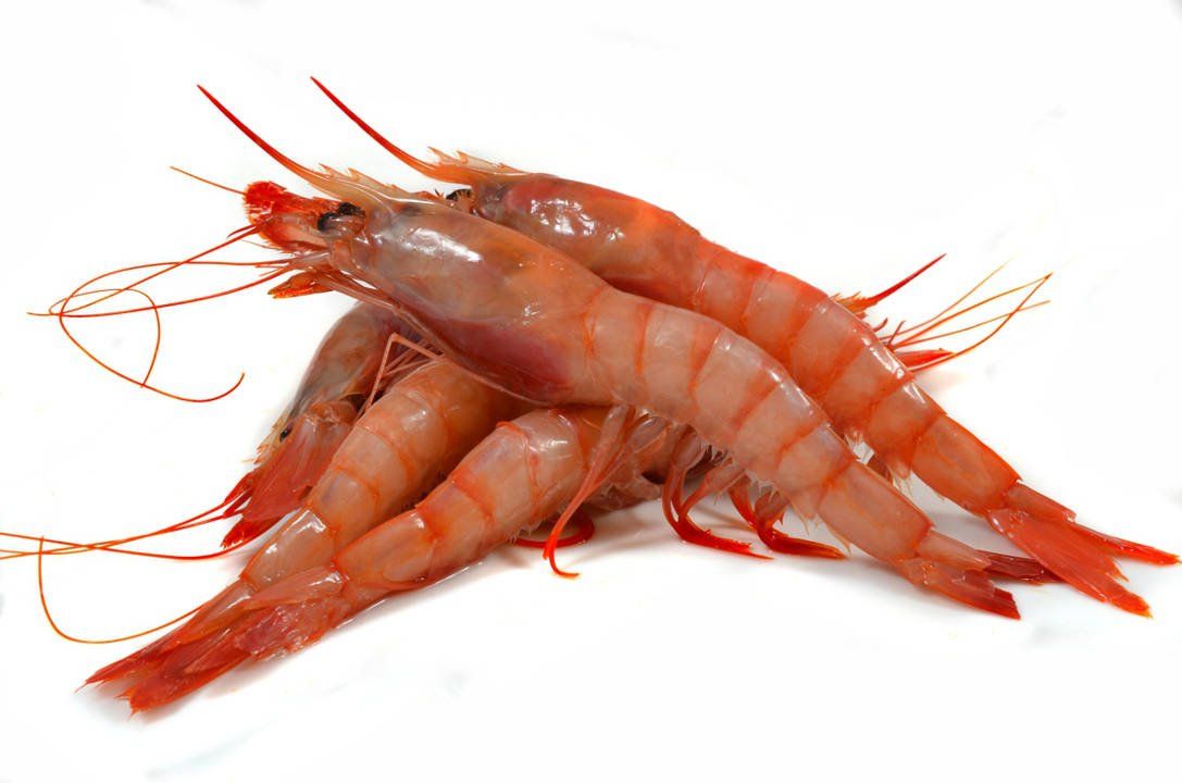 Venta online de marisco a domicilio.