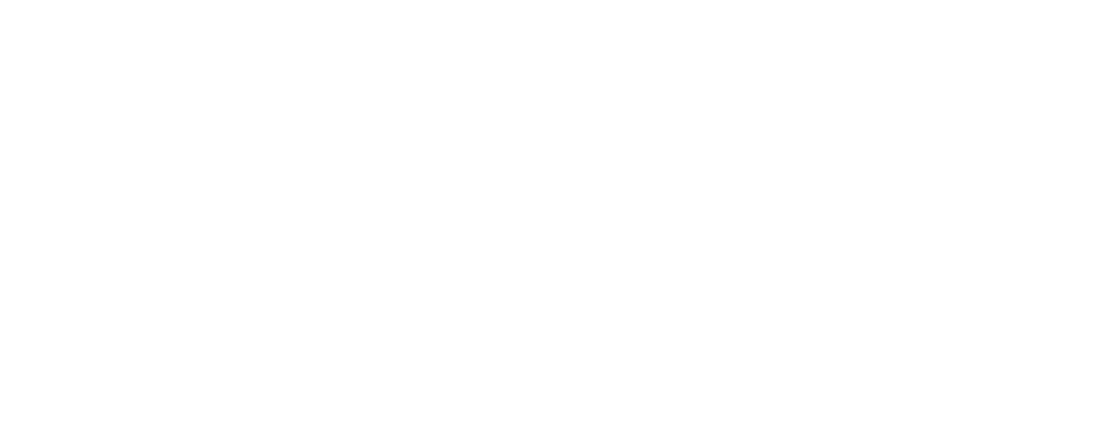 Solingen Business Logo