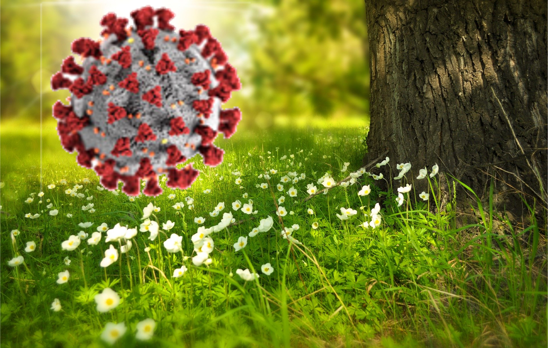 Del confinamiento a las actividades al aire libre