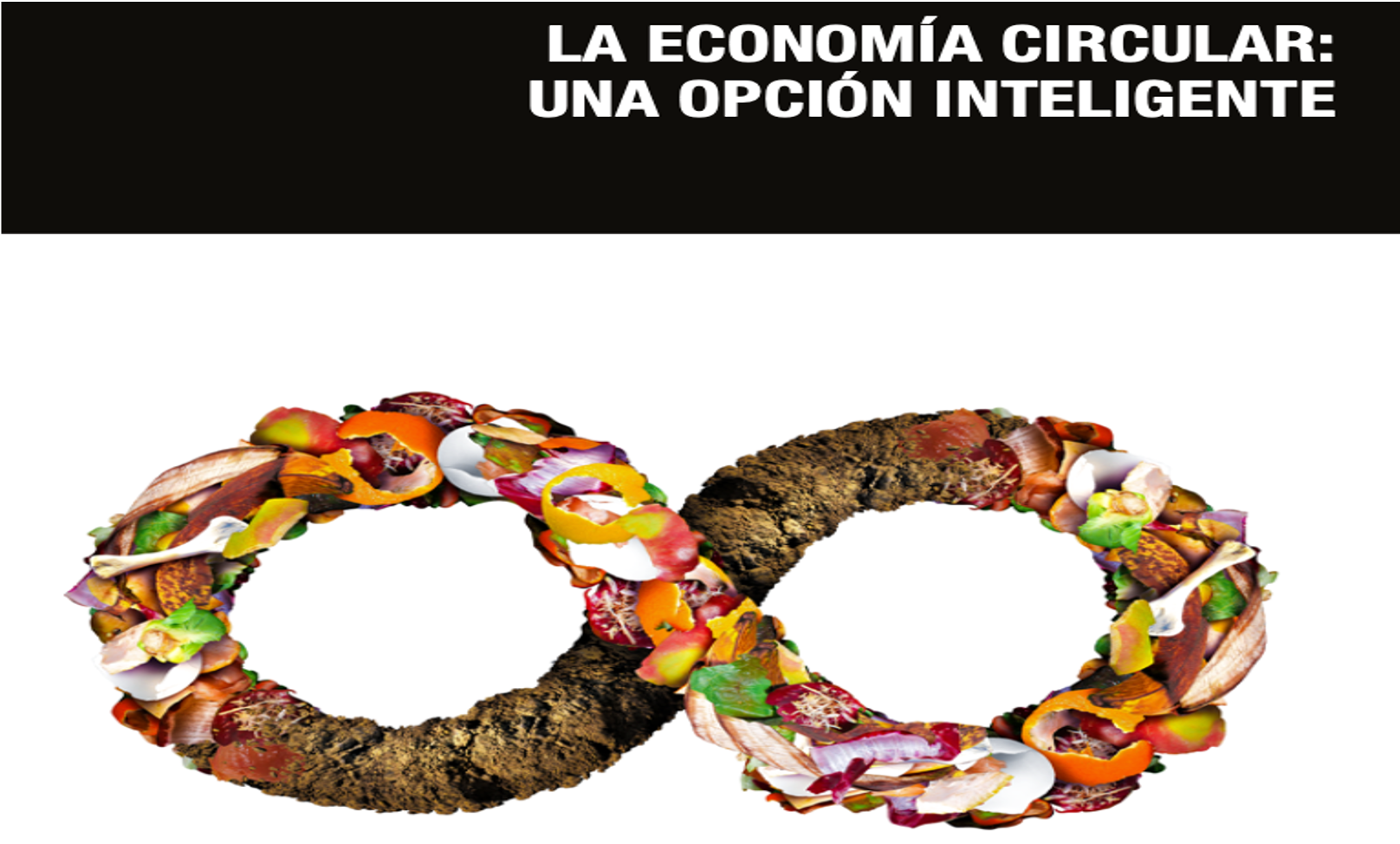 Economía Circular: de alternativa a necesidad