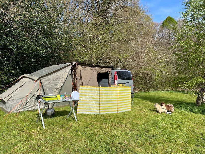 Wildflower view field, tents and campervans. with or without electric, view of the neighbouring woodlands and our play area