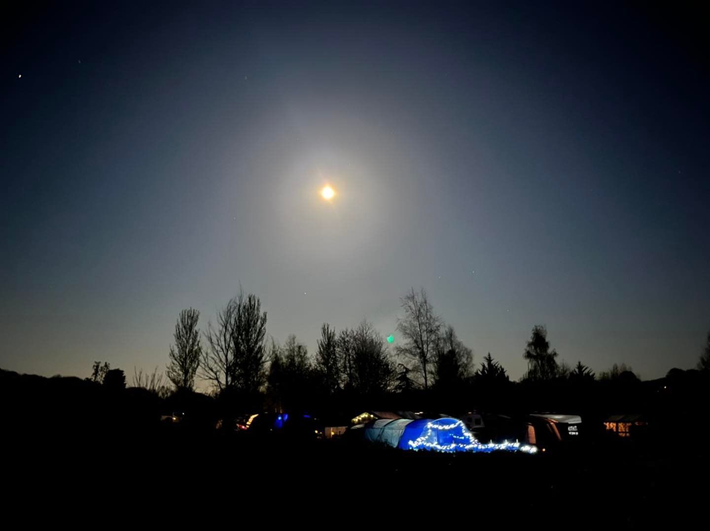 Park Avenue field, tents and campervans with electric-large pitches, view of the neighbouring woodlands and our play area.