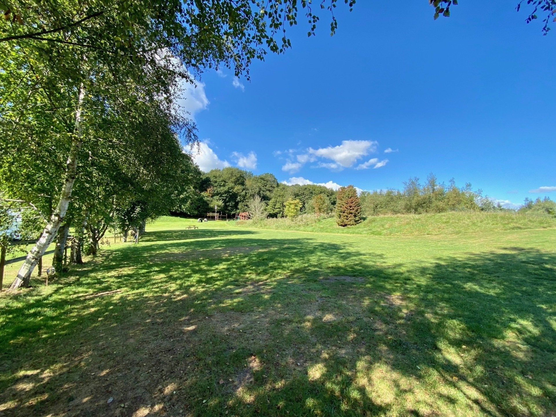 Park Avenue field, tents and campervans with electric-large pitches, view of the neighbouring woodlands and our play area.