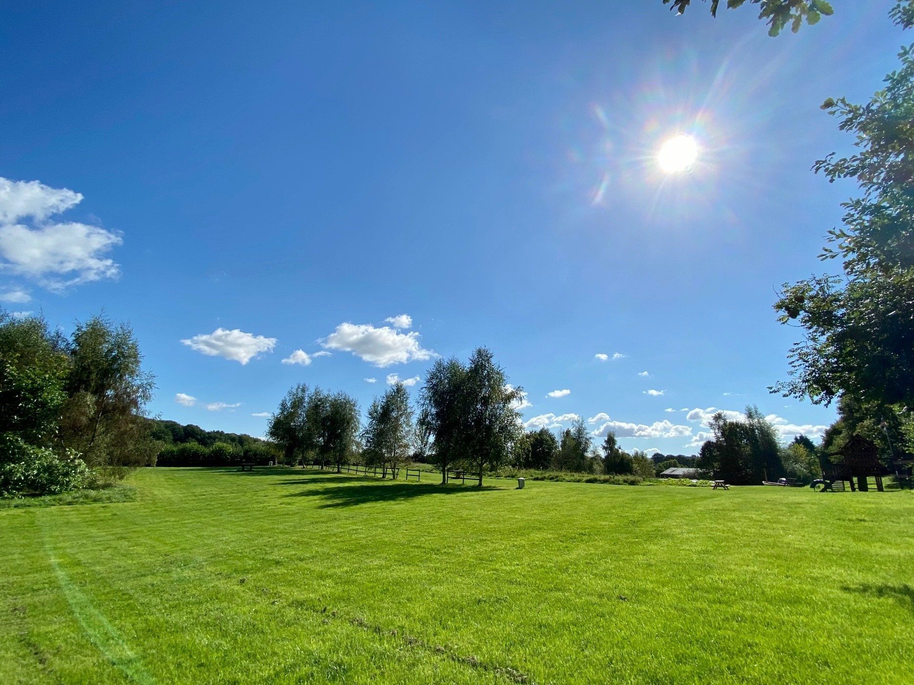 Wildflower view field, tents and campervans. with or without electric, view of the neighbouring woodlands and our play area
