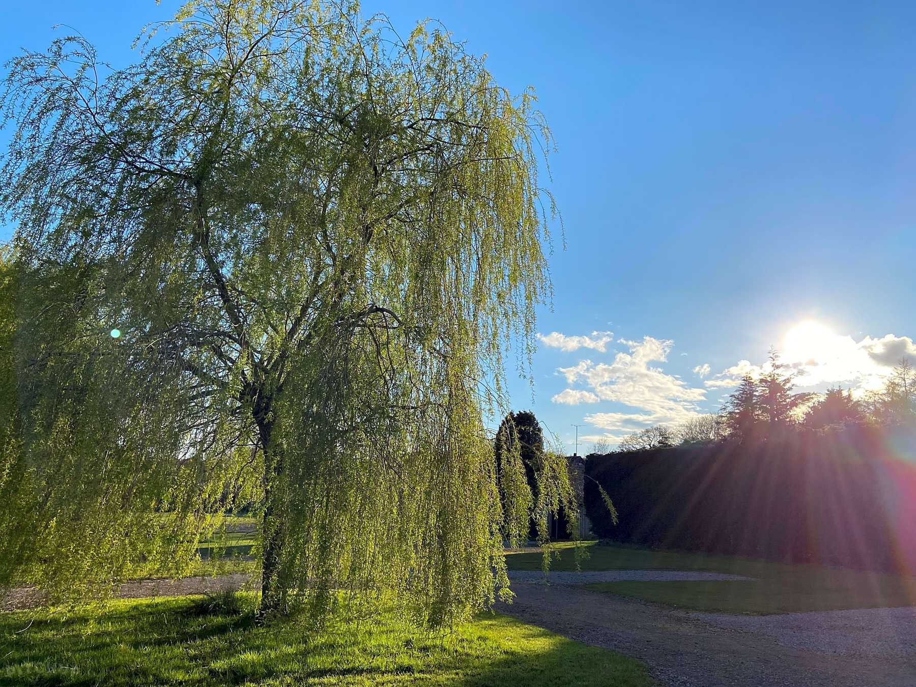 Gorgeous sunset on our Meadow Brook field, with hardstanding pitches with electric and grass pitches with/without electric