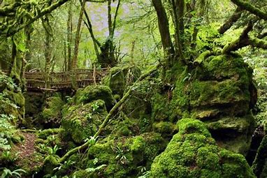 Local attractions. Call : 01989 720672 or 07568 940408, email: info@haywoodfarm.co.uk