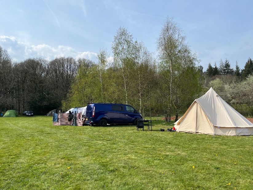 Wildflower view field, tents and campervans. with or without electric, view of the neighbouring woodlands and our play area