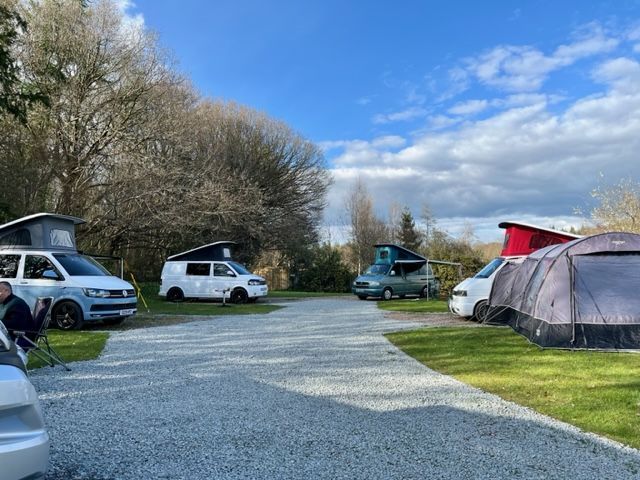 Woodland way full of VW campervans, ideal for group meets and rallies