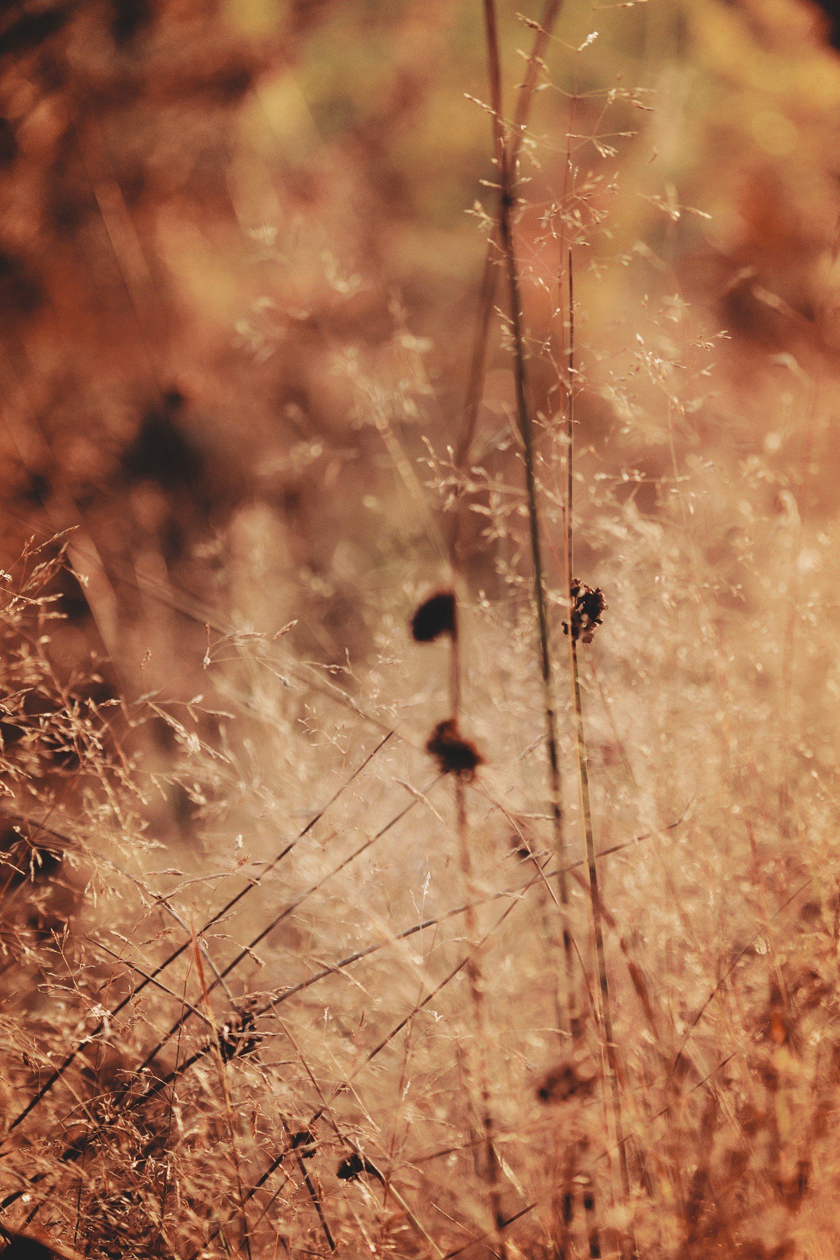 Achtsamkeit, MBSR, Kurs, Kinder, Stressbewältigung
