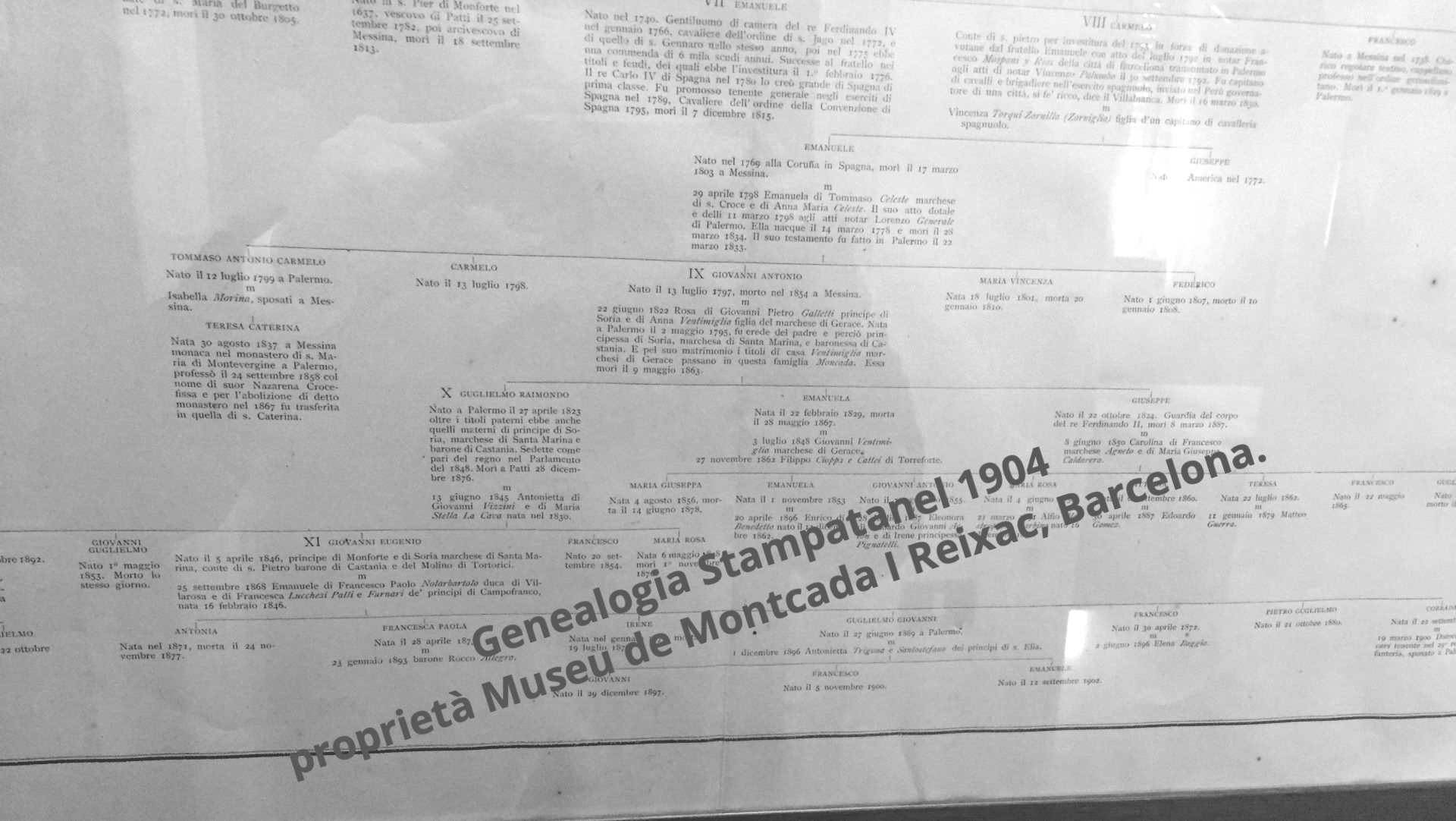 genealogie Moncada