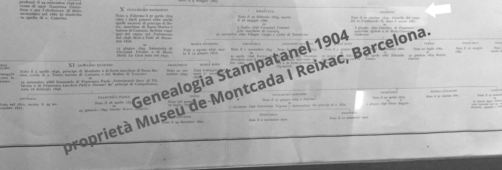 genealogie Moncada di Monforte