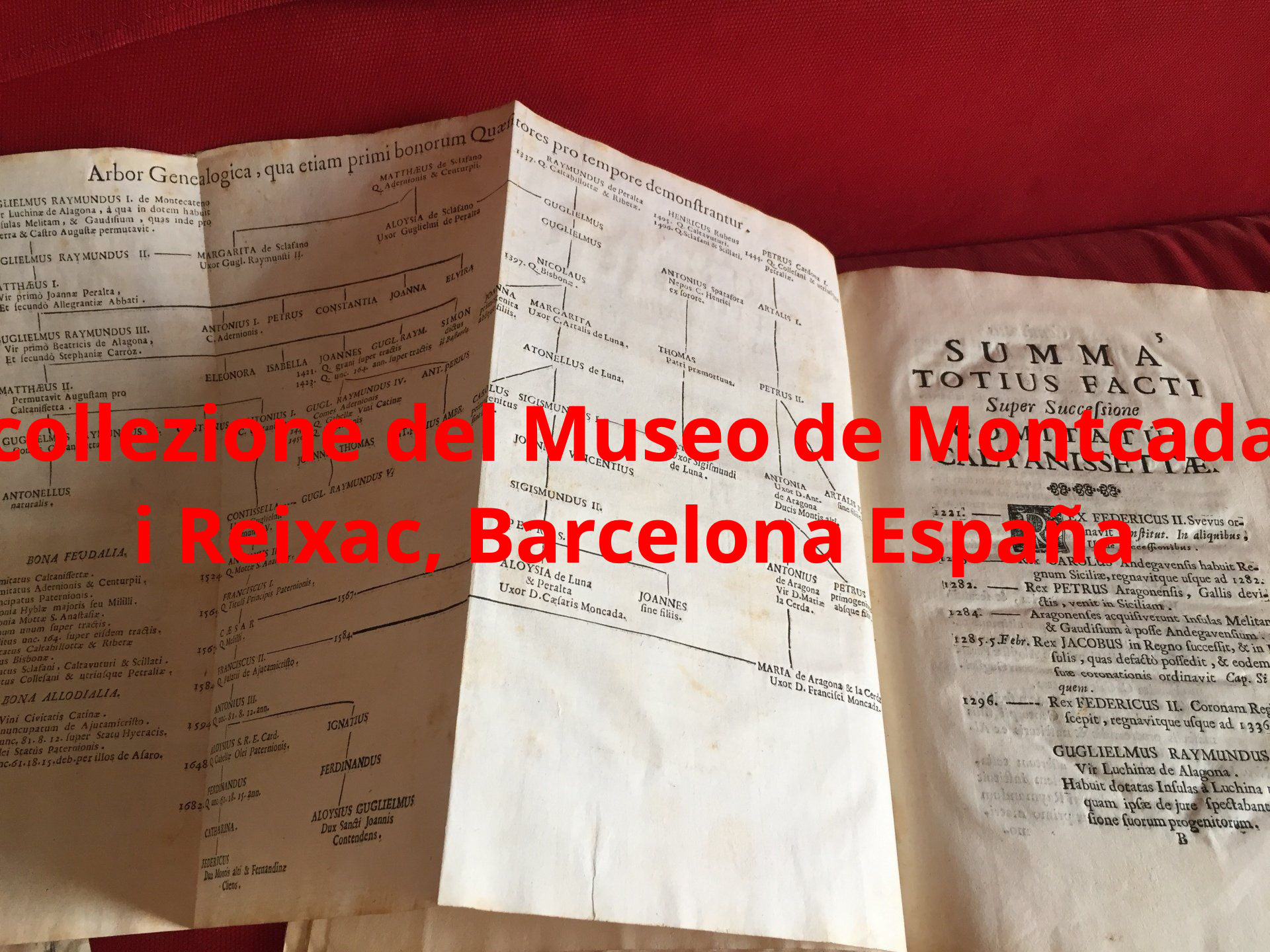 genealogie Moncada