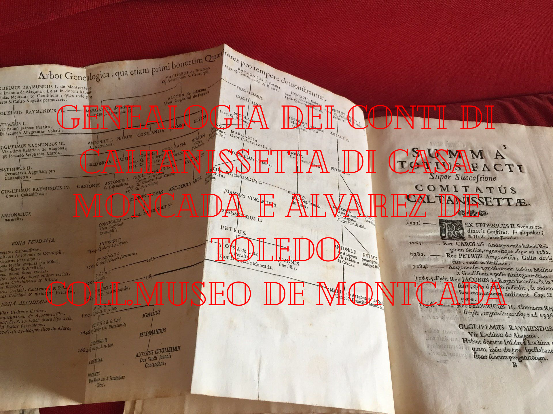 fondo Moncada Zarbo
di Monforte al Museo de Moncada