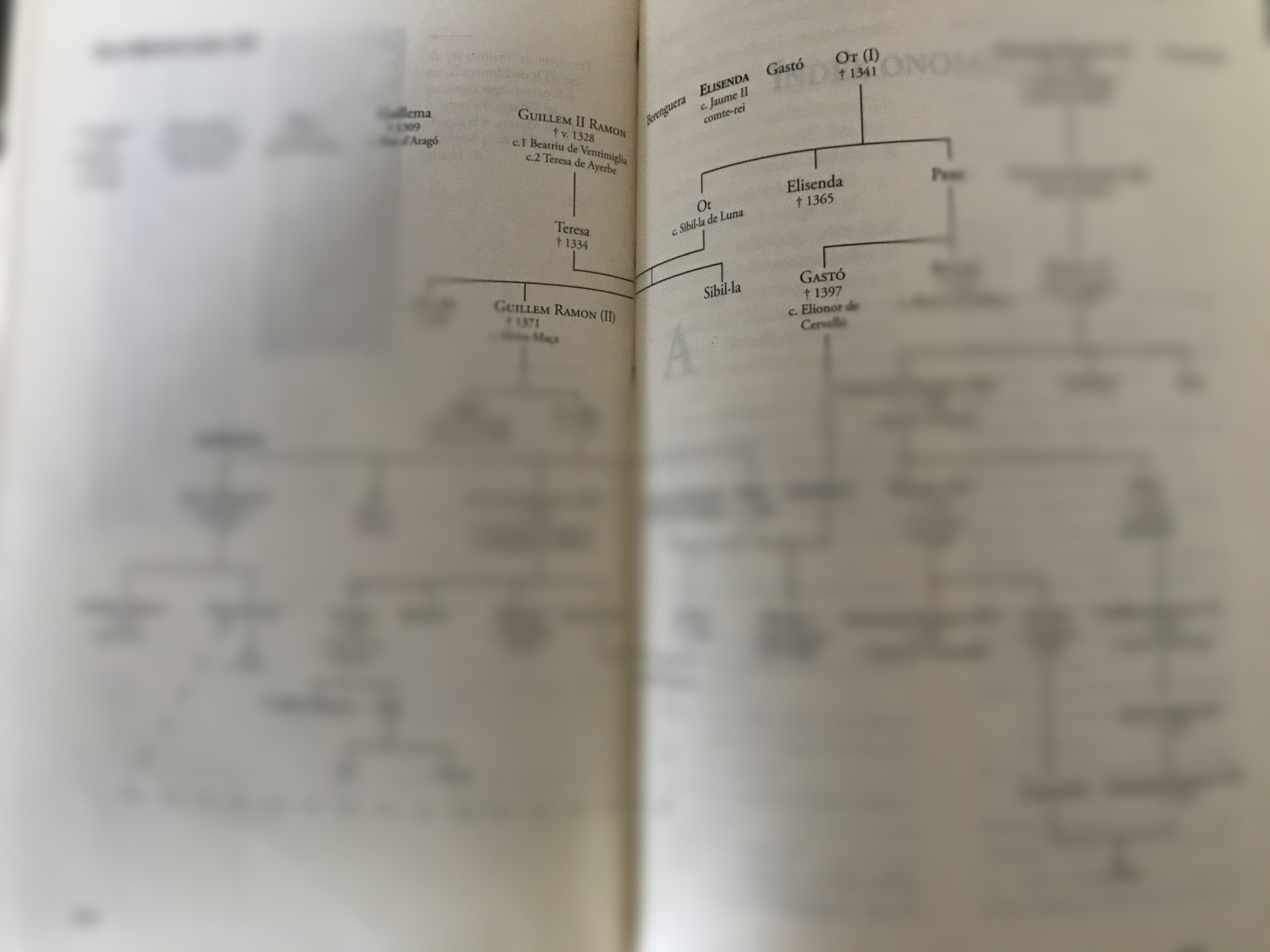 genealogie Moncada fondo Moncada Zarbo di Monforte al Museo Municipale de Montcada i Reixac ( Barcellona, Spagna)