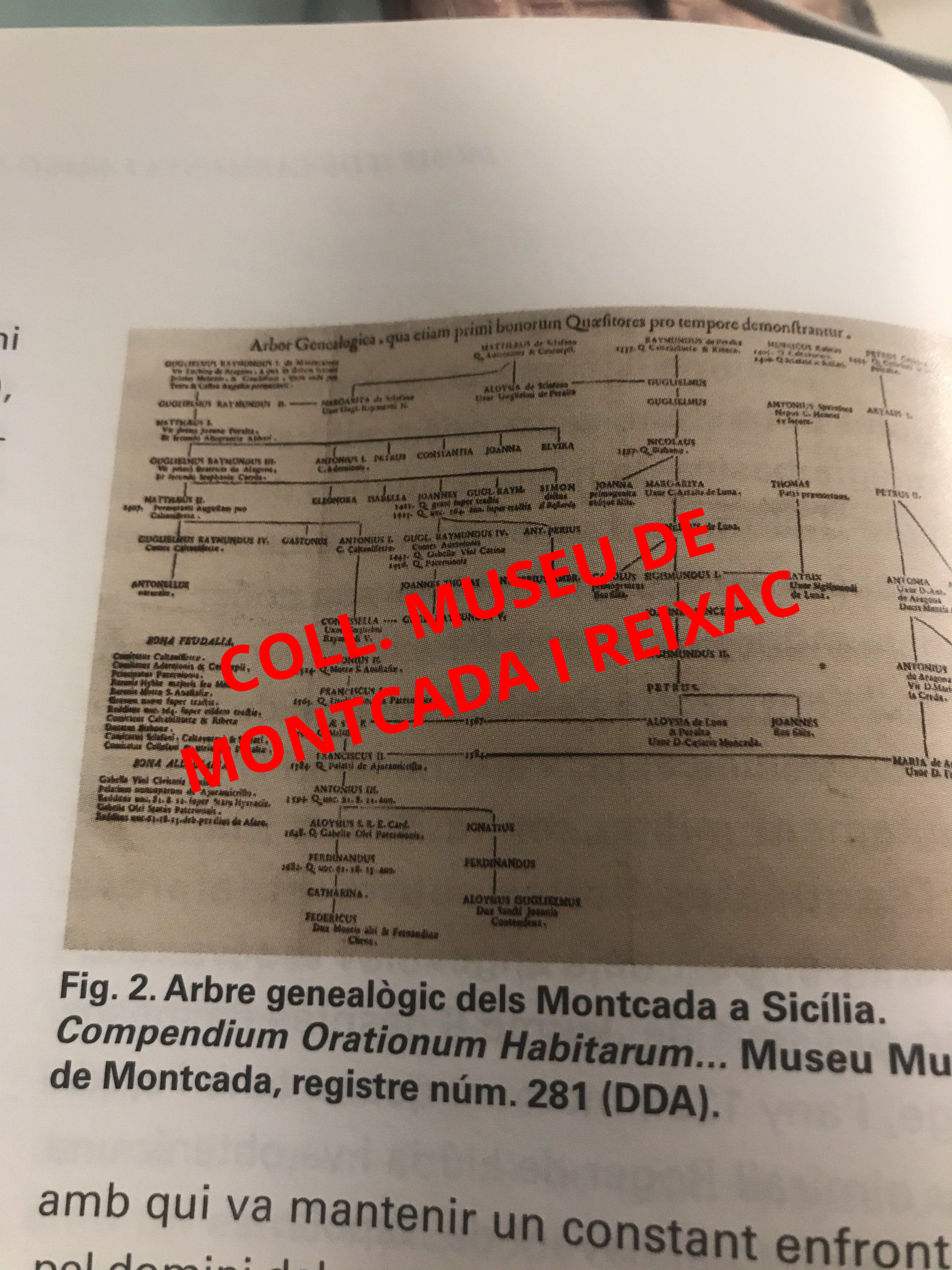fondo Moncada Zarbo
di Monforte al Museo de Moncada