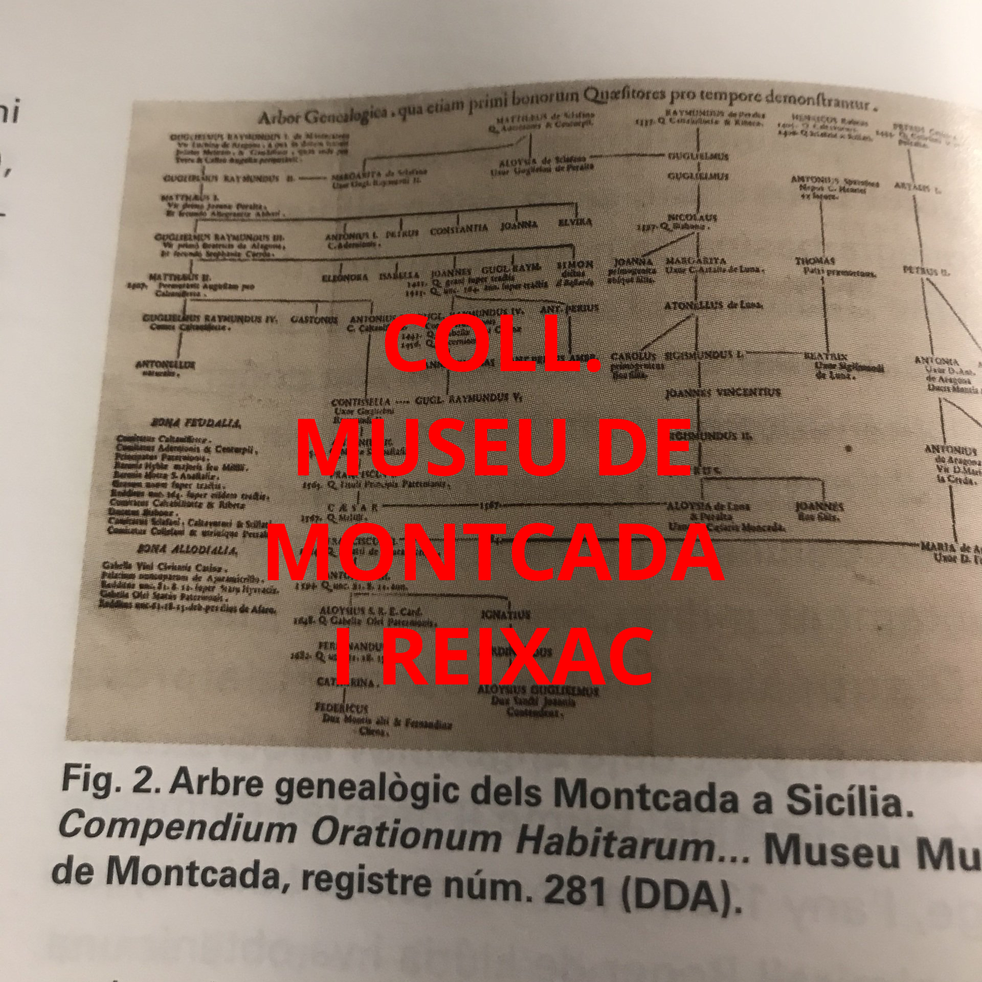 fondo Moncada di Monforte al Museo de Moncada