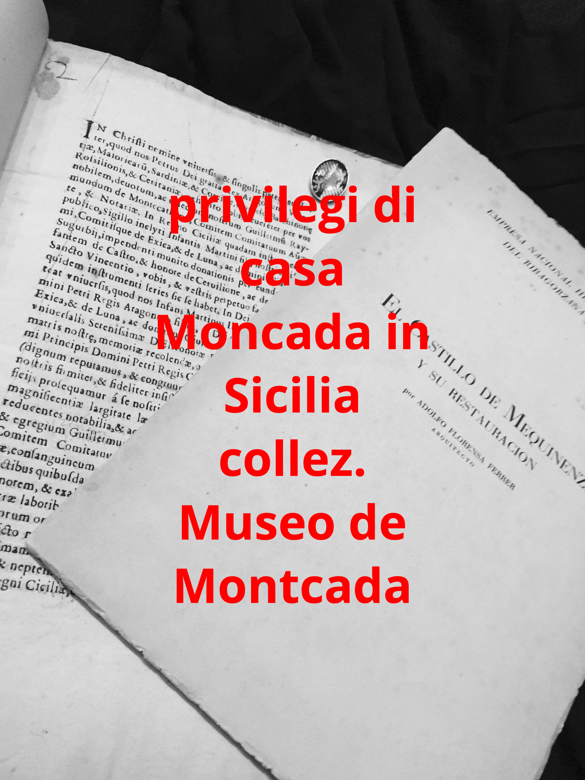 Privilegi di casa Moncada