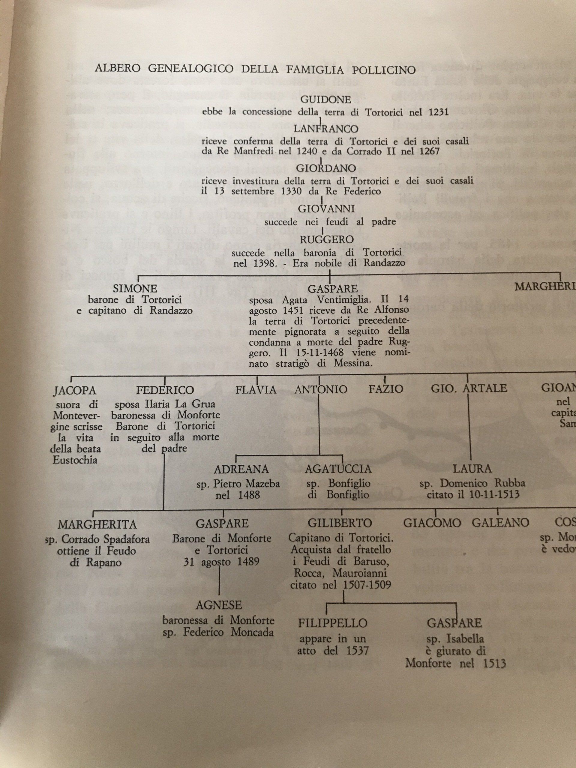 genealogia Pollicino