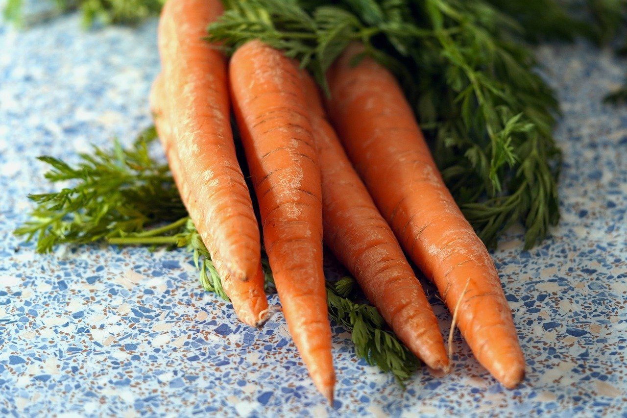Carrots. Retrieved on 03.12.24, by Matthias Boeckel. (2023, May 17). Karotten Ernte Frisch - Kostenloses Foto auf Pixabay. Pixabay. https://pixabay.com/de/photos/karotten-ernte-frisch-garten-7998063/