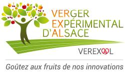 Association VEREXAL - Logo