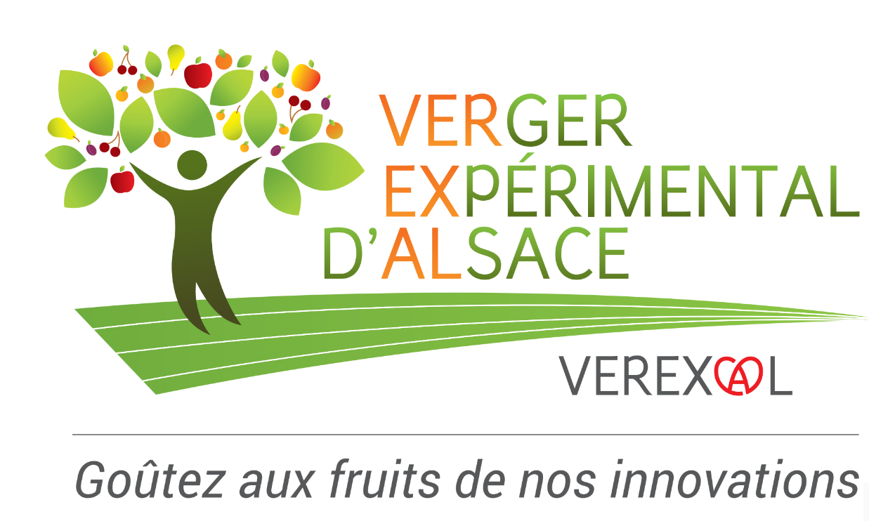 Association VEREXAL - Logo