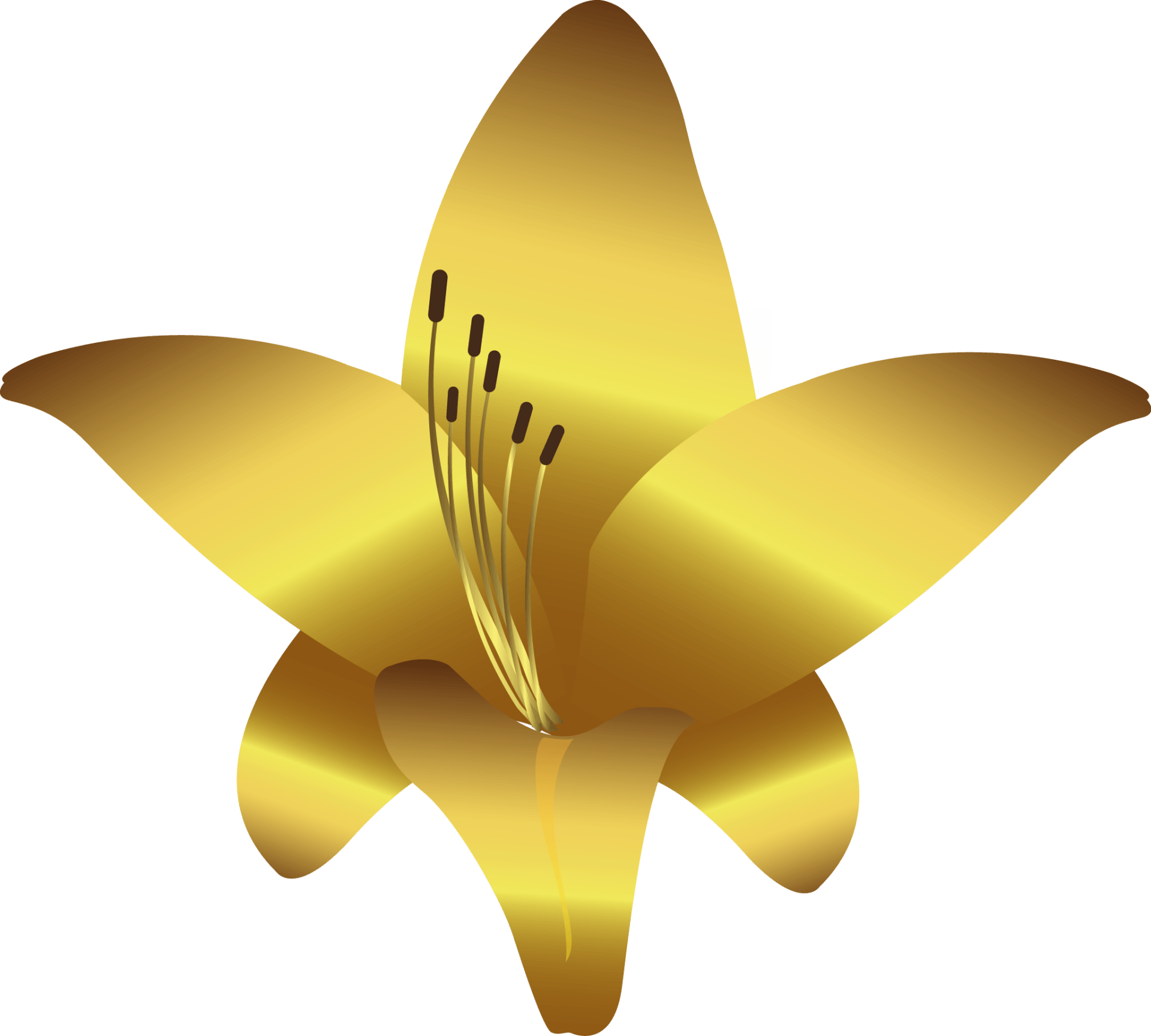 Noble Eye Plasma Pen Oberlidstraffung, AntiAging Hamburg Halstenbek