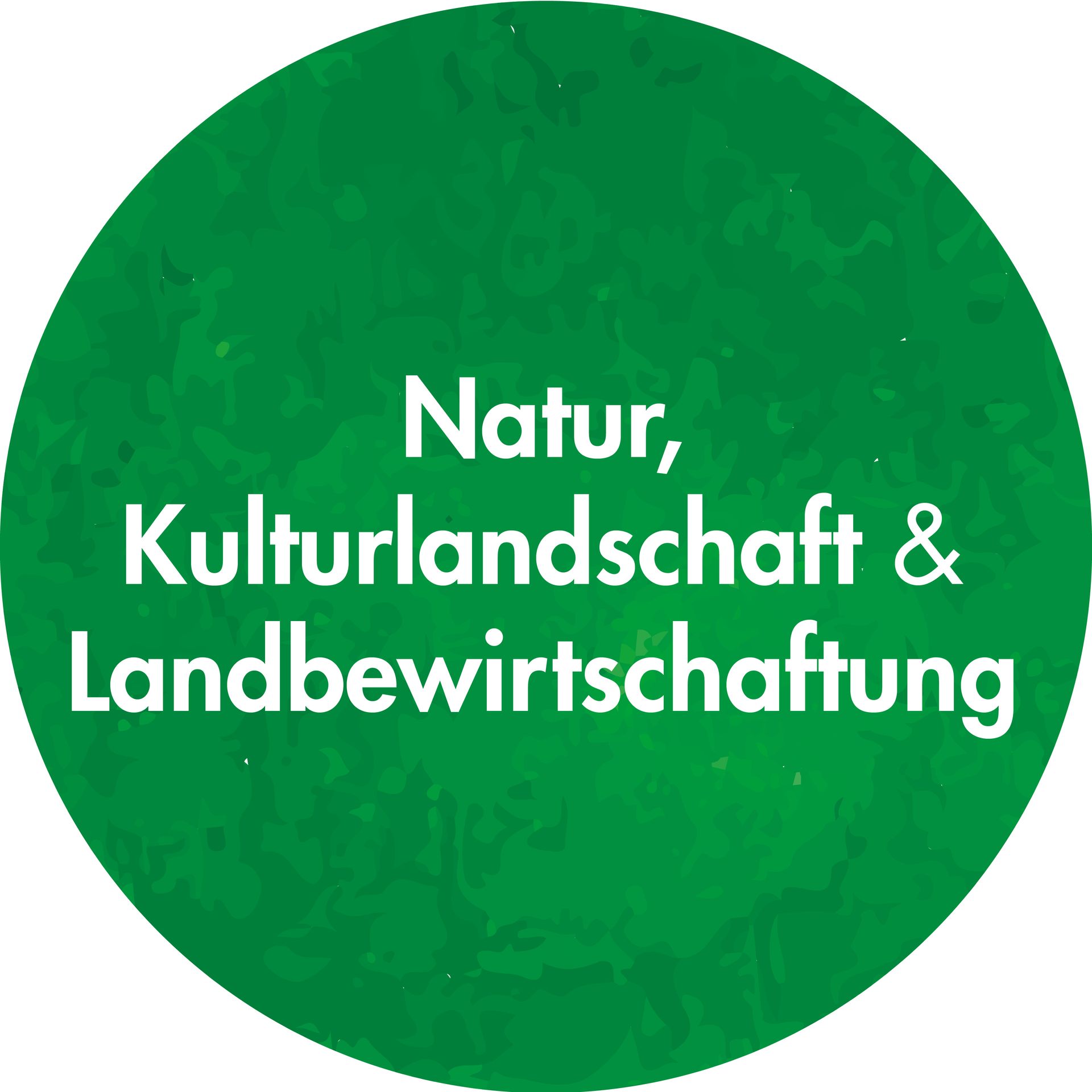 Kreis mit Link zu Abschnitt Handlungsfeld