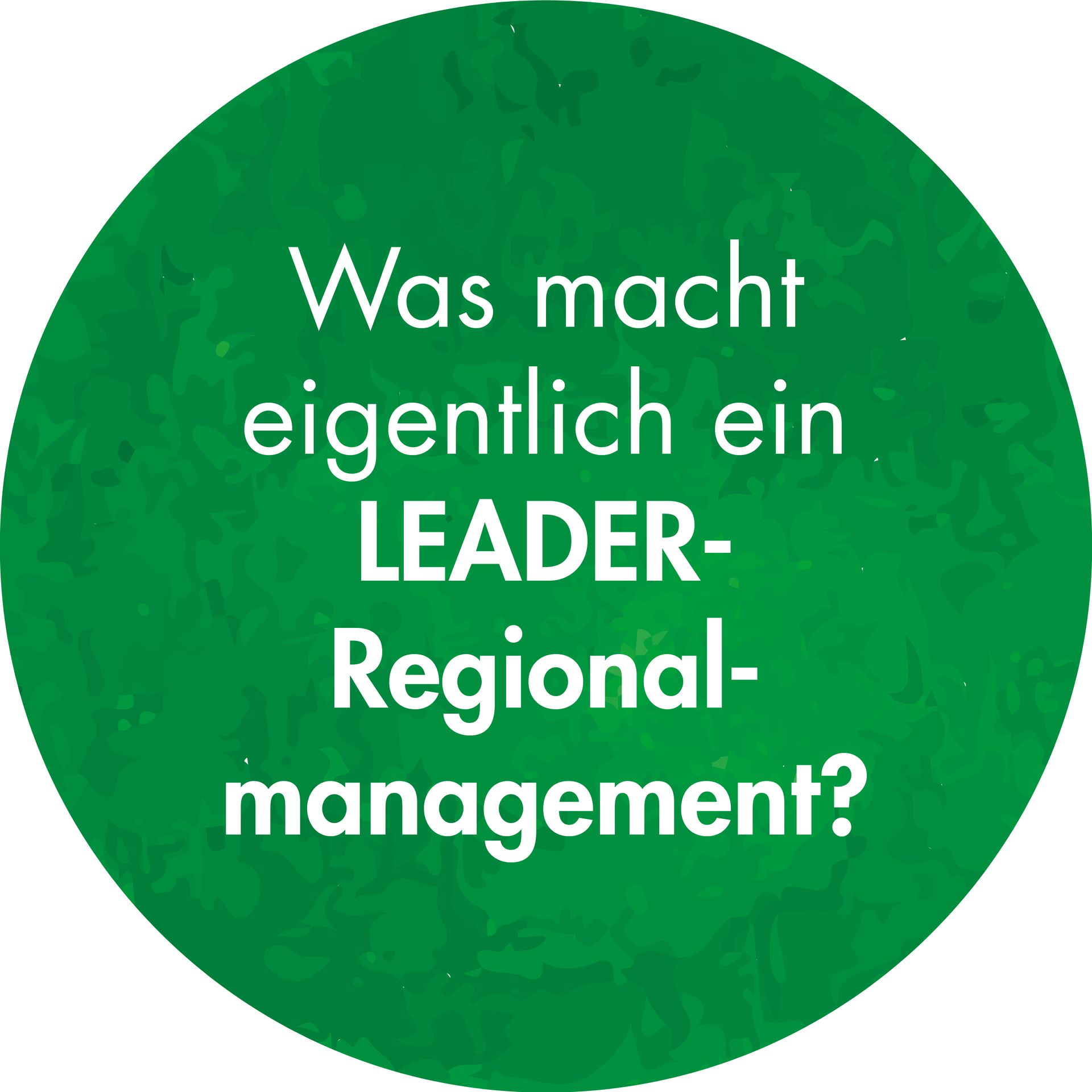 Kreis mit Link zu Abschnitt