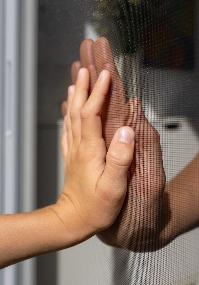 Close-up of insect screen mesh – durable fabric providing reliable insect protection