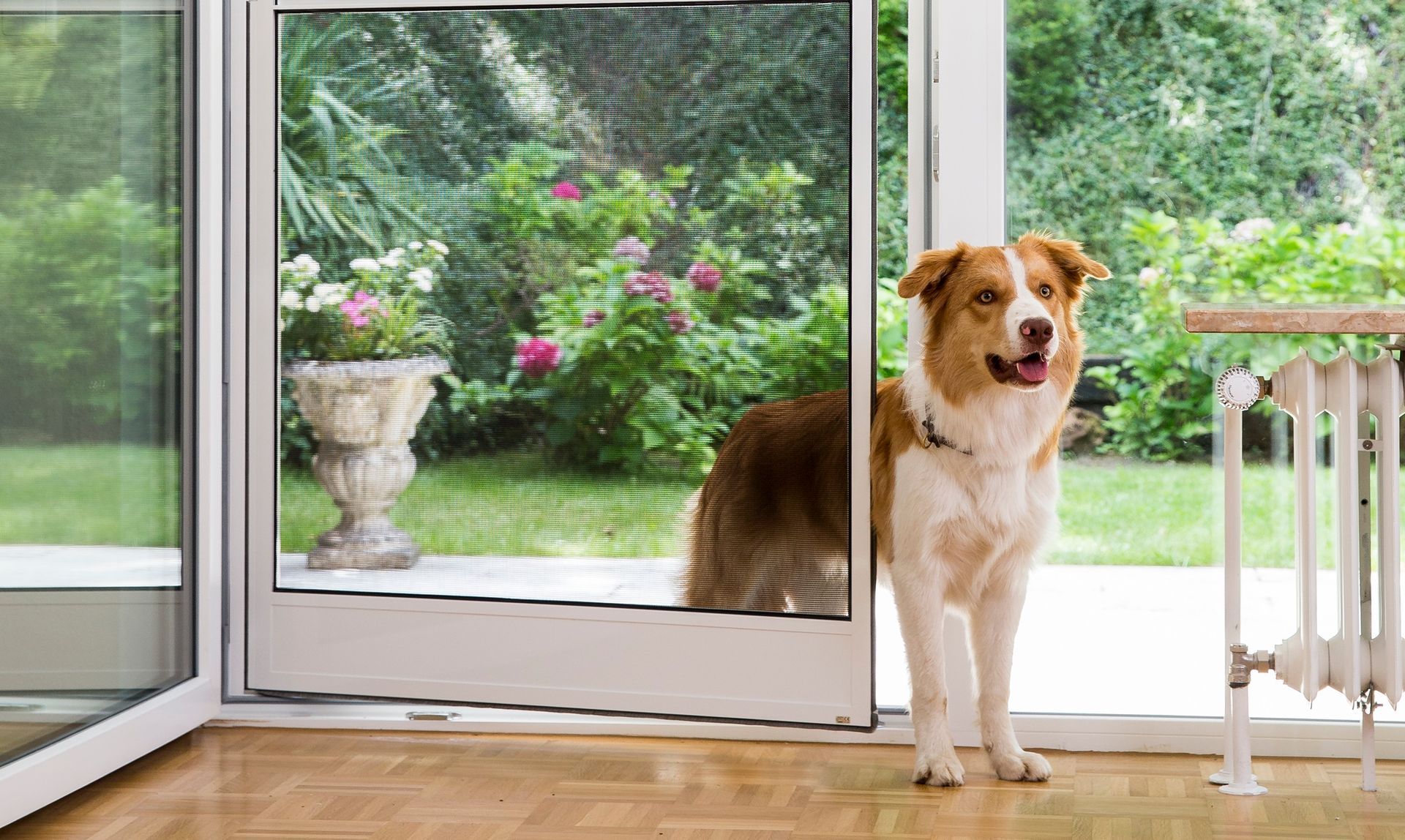 ISK Systems insect screen swing door installed on a patio door, providing reliable insect protection while allowing convenient access for pets.