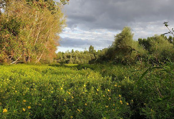 Parc naturel de Val d'Allier
