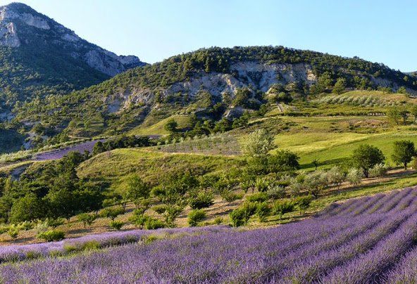 Parc régional de baronnies provençales