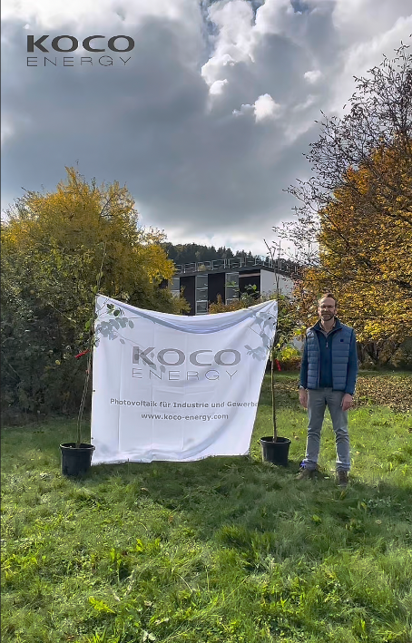 Mitarbeitende von KOCO Energy Solutions pflanzen zwei junge Zwetschgenbäume auf dem Firmengelände