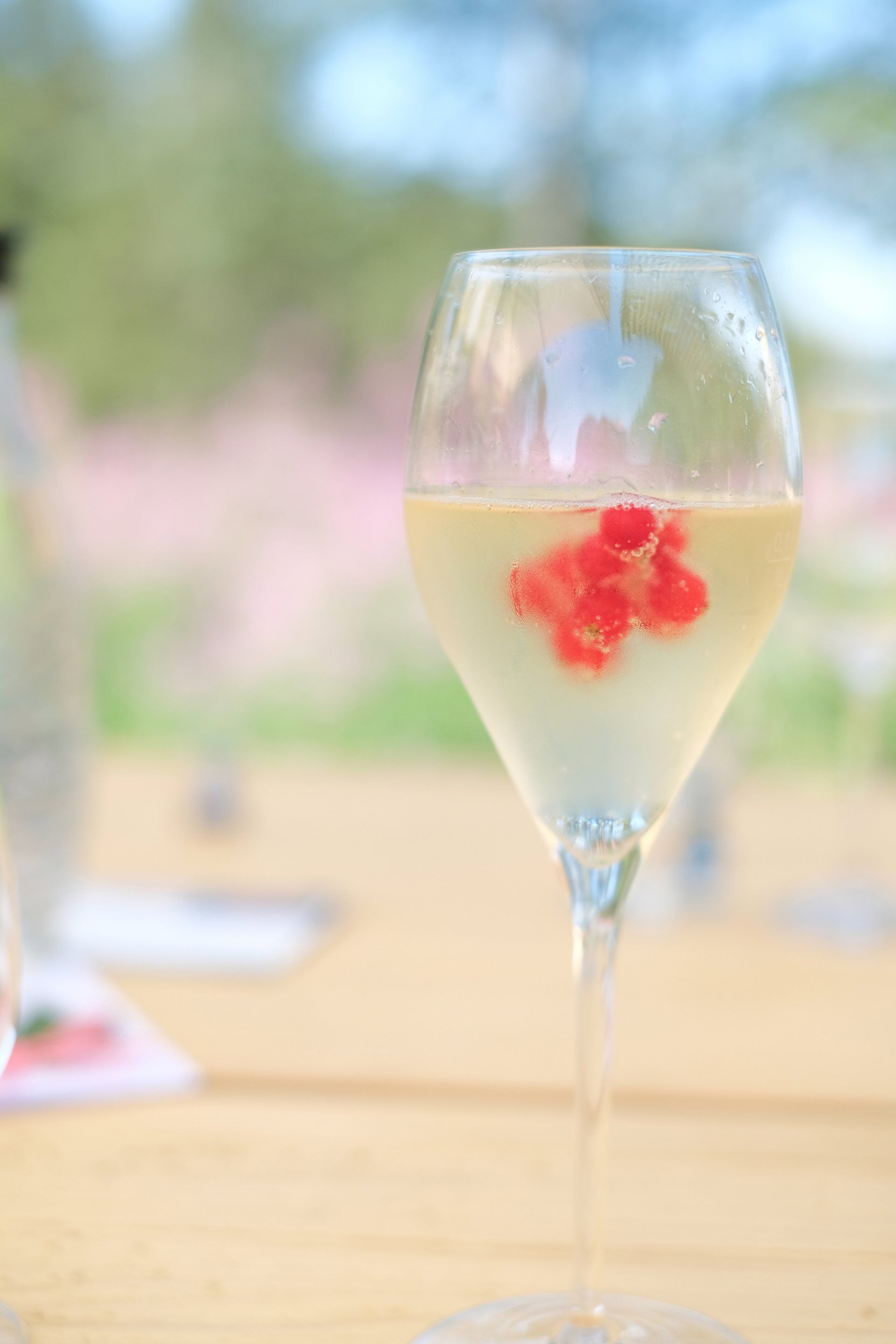 ©Birgit-Cathrin Duval