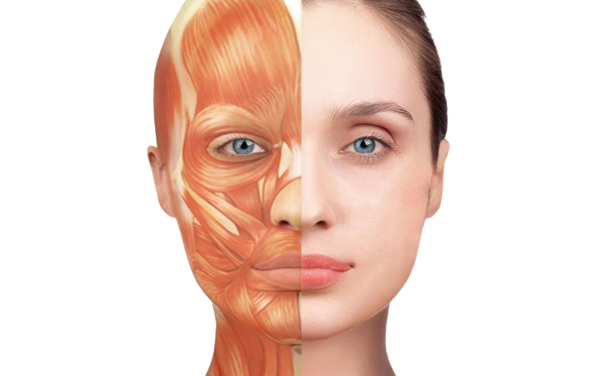 Bio-Faszial Face-Lifting-Massage bei Neroli Cosmetics im Taunus