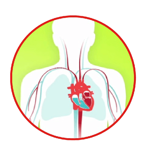 CHF - Congestive Heart Failure - Primary Care Offices