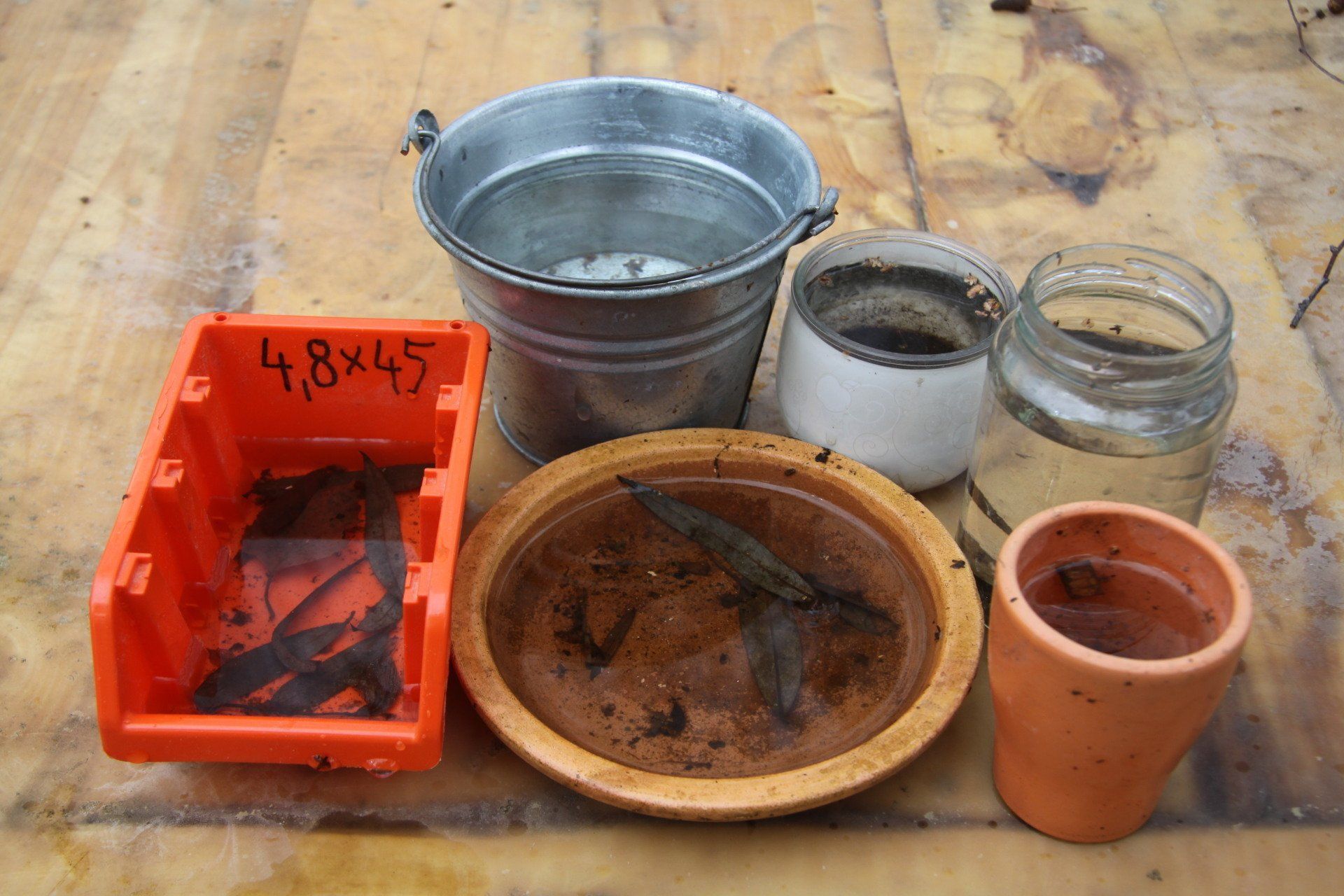 Verschiedene Gefäße mit Wasser, die Brutstätten für Stechmücken simulieren.