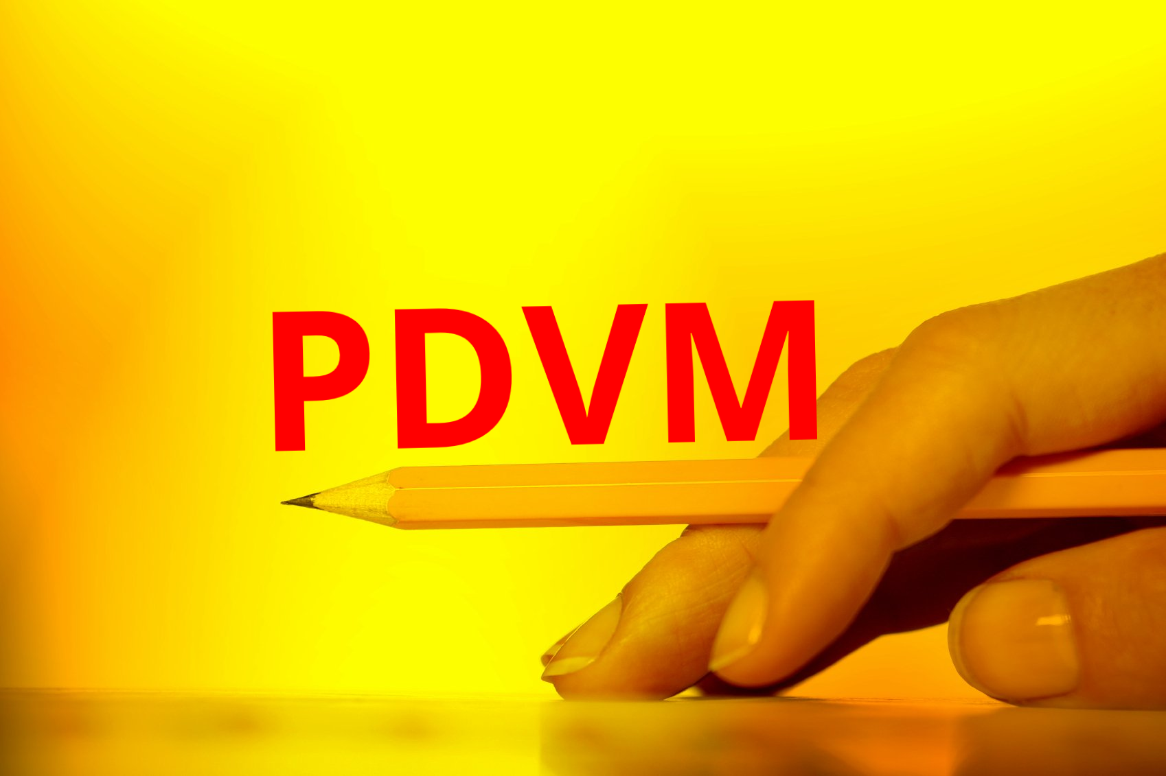 Logo von PDVM PDVM