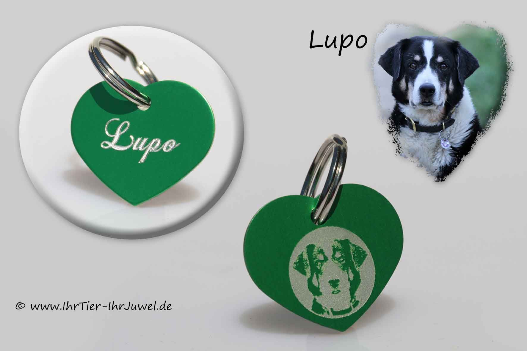 Anhänger mit Fotogravur Herz geliebter Hund