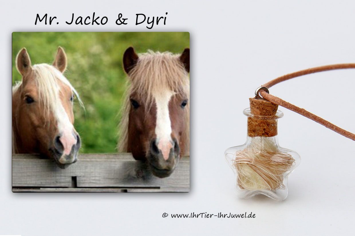 Anhänger mit Pferdehaar Glasstern Glücksstern Tierhaarschmuck