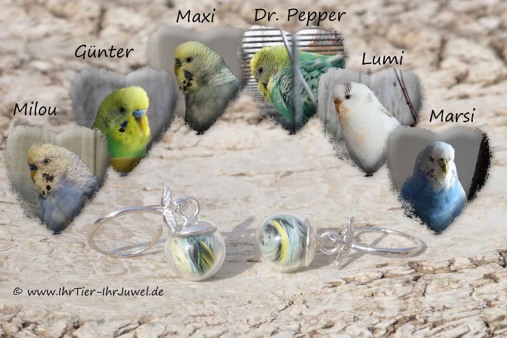 Brautschmuck Ohrringe mit Federn Hochzeitsschmuck