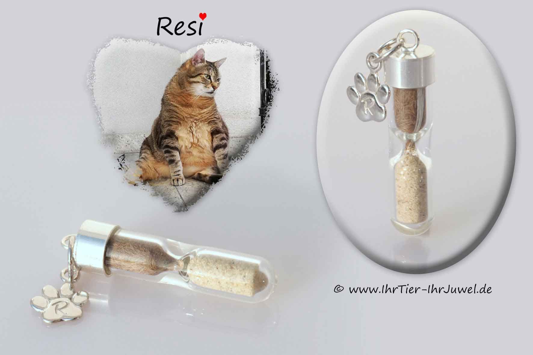 Erinnerung an geliebte Katze Sanduhrenglas mit Haaren und Asche